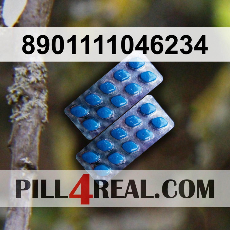 8901111046234 858
