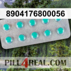 8904176800056 161