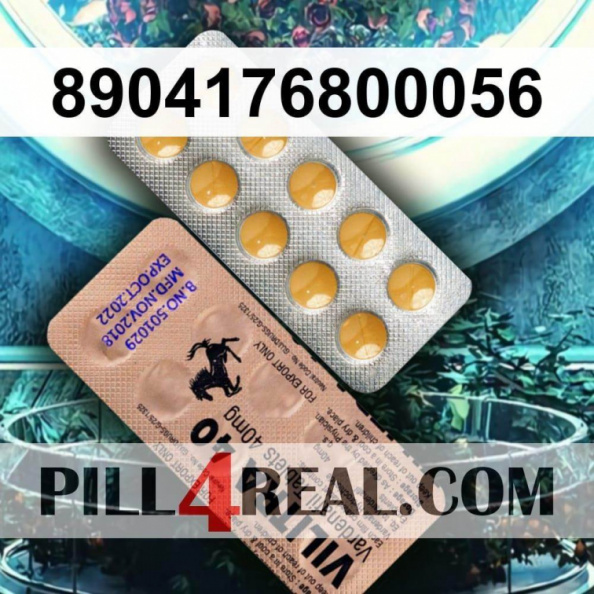 8904176800056 811