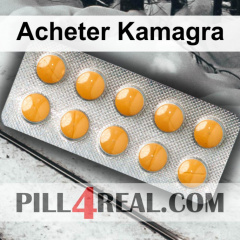 Acheter Kamagra 508