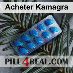Acheter Kamagra 881