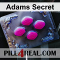 Adams Secret 067