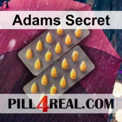Adams Secret 129