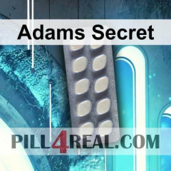 Adams Secret 240