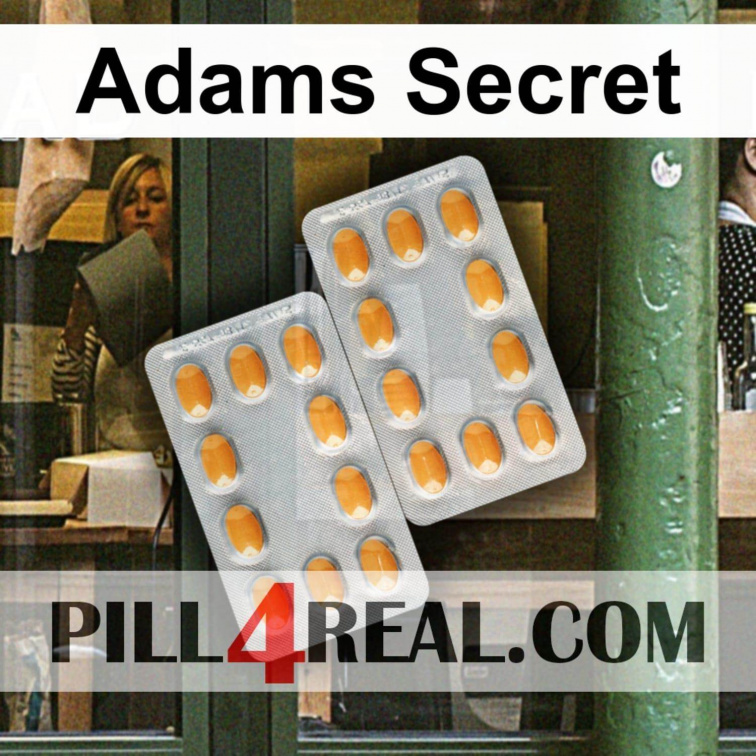 Adams Secret 397
