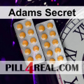 Adams Secret 408