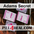 Adams Secret 466