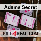 Adams Secret 466