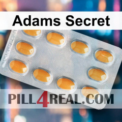 Adams Secret 563
