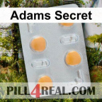 Adams Secret 749