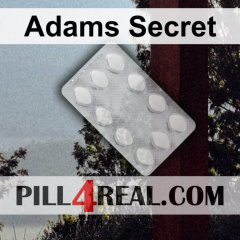 Adams Secret 817