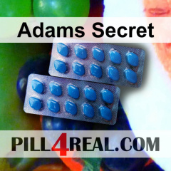 Adams Secret 874