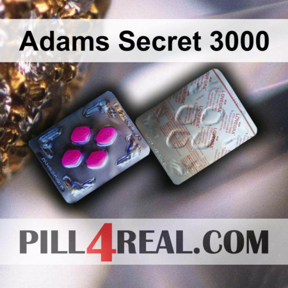 Adams Secret 3000 066