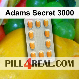 Adams Secret 3000 143
