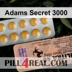 Adams Secret 3000 238