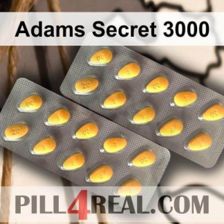 Adams Secret 3000 285