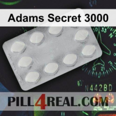 Adams Secret 3000 289