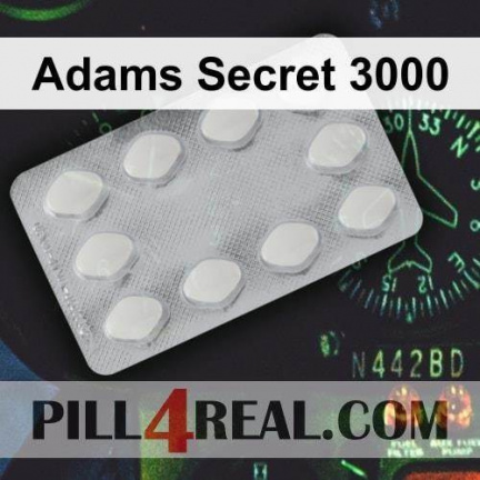Adams Secret 3000 289