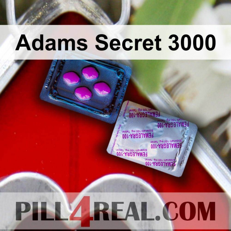 Adams Secret 3000 358