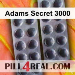 Adams Secret 3000 396