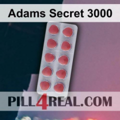 Adams Secret 3000 487