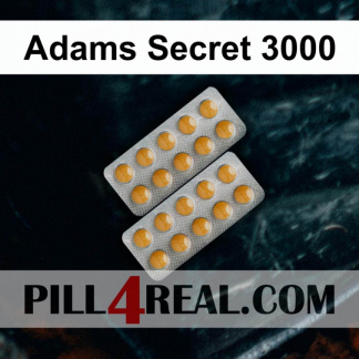 Adams Secret 3000 536