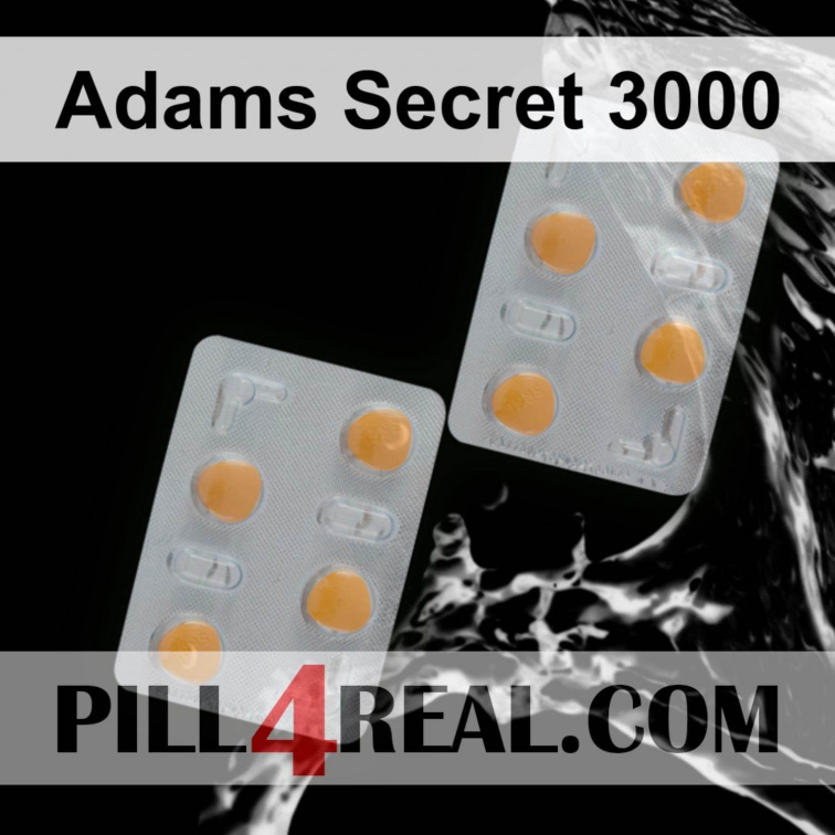 Adams Secret 3000 781