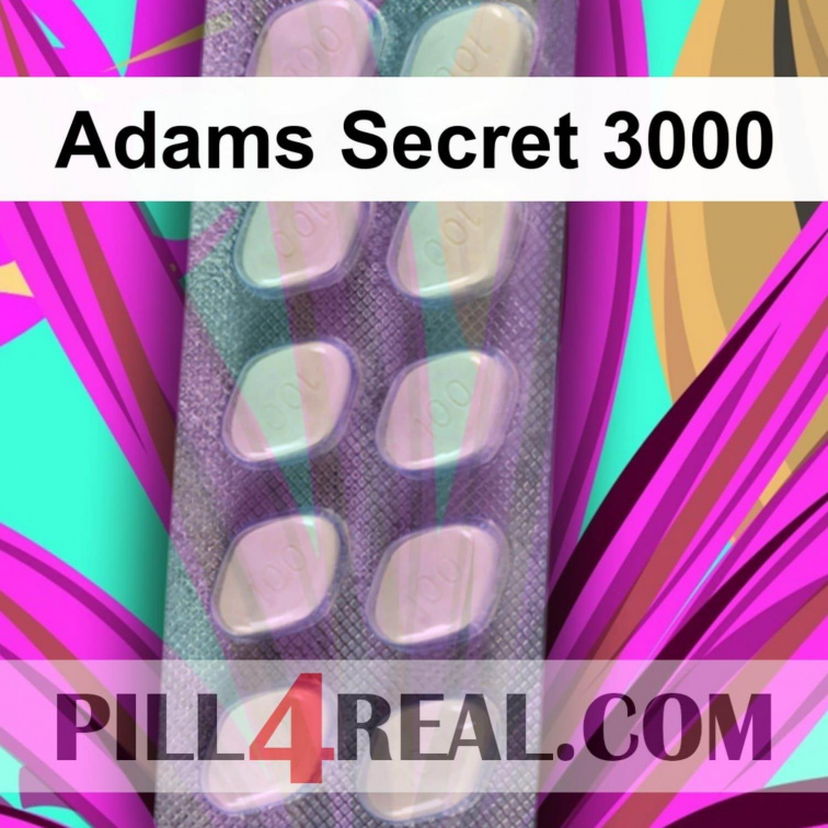 Adams Secret 3000 823