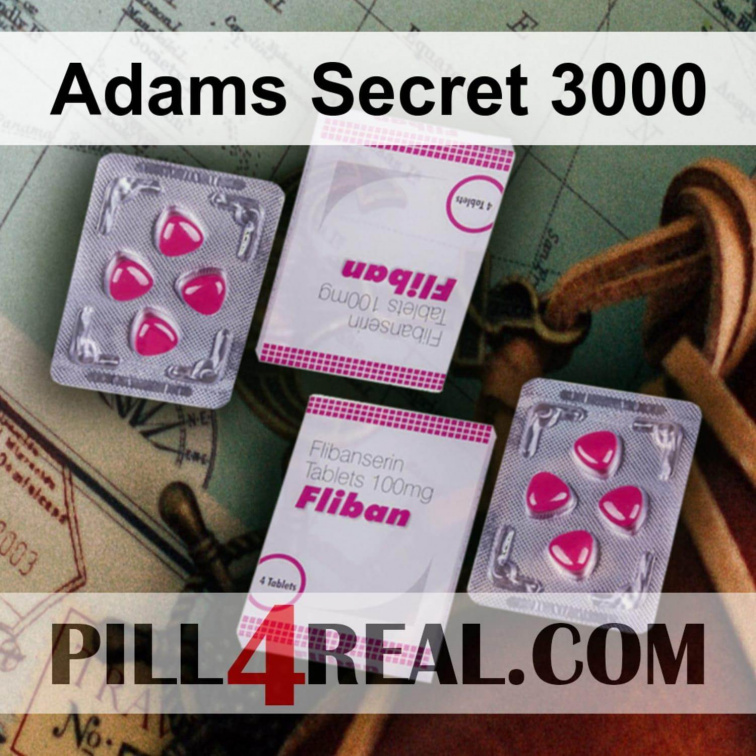Adams Secret 3000 904