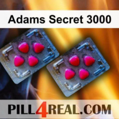Adams Secret 3000 931