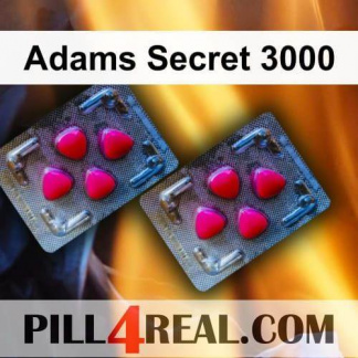 Adams Secret 3000 931