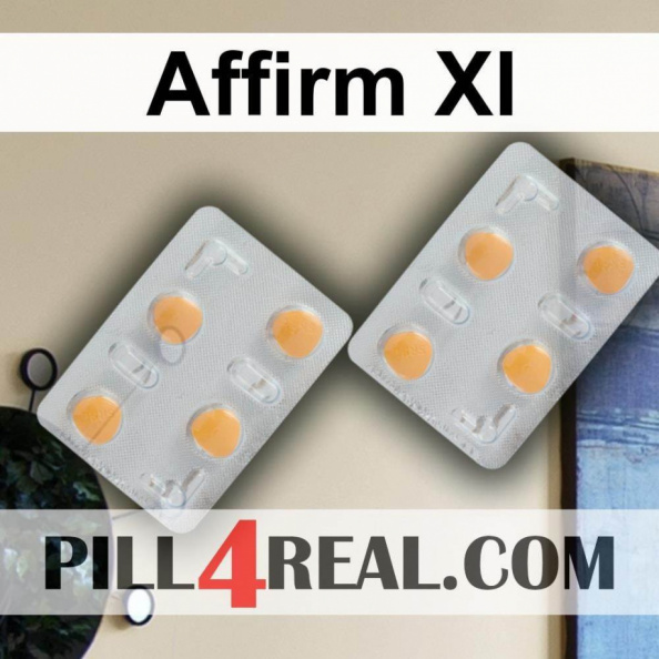 Affirm Xl 380