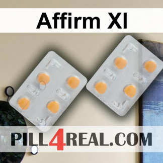 Affirm Xl 380