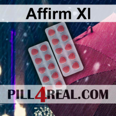Affirm Xl 390