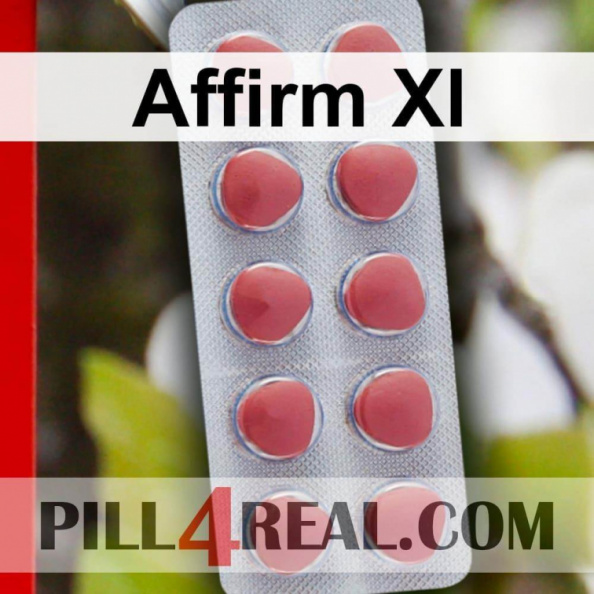 Affirm Xl 407