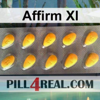 Affirm Xl 760
