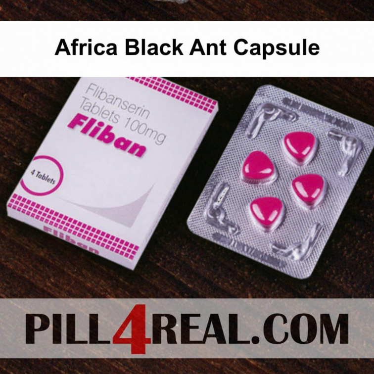 Africa Black Ant Capsule 066