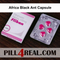 Africa Black Ant Capsule 066