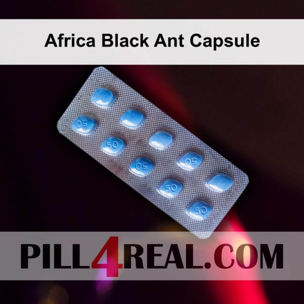 Africa Black Ant Capsule 120