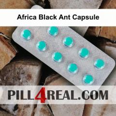 Africa Black Ant Capsule 130