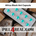 Africa Black Ant Capsule 130