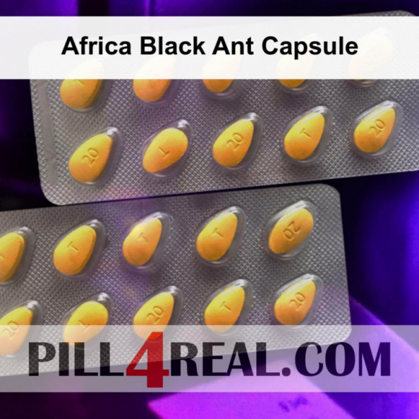 Africa Black Ant Capsule 191
