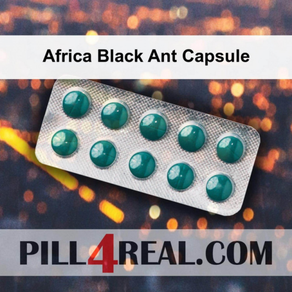Africa Black Ant Capsule 281
