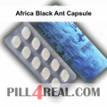 Africa Black Ant Capsule 285