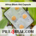 Africa Black Ant Capsule 521