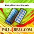 Africa Black Ant Capsule 680