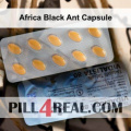 Africa Black Ant Capsule 803