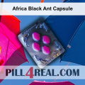Africa Black Ant Capsule 807