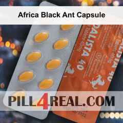 Africa Black Ant Capsule 822