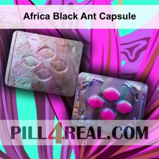 Africa Black Ant Capsule 887